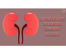 Handling Dialysis-Free Kidney Failure: A Comprehensive Strategy Using Homeopathy