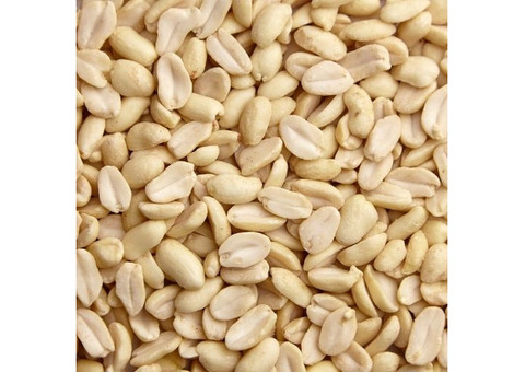 Prominent Manufacturer, Supplier, and Exporter of Blanched Peanuts in India. Badani Corporation