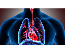 Best Lungs Capacity Improvement