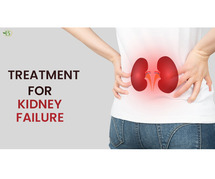 Examining Homeopathic Methods for Treating Renal Failure