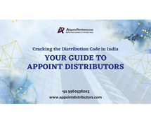 Check Out Your Guide to Appoint Distributors
