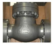 Check Valve Manufacturers in USA