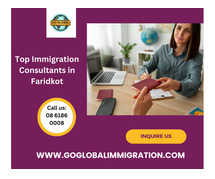 6 Reasons to Hire Top Immigration Consultants in Faridkot