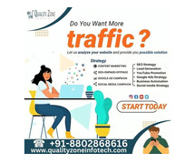 Boost Your Website Traffic with Quality Zone Infotech's Expert SEO Se (Noida)