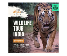 India's Wild Side: Embark on Thrilling Wildlife Safaris!