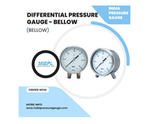 Differential Pressure Gauge - Bellow | India Pressure Gauge