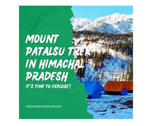 Mount Patalsu Trek in Himachal Pradesh