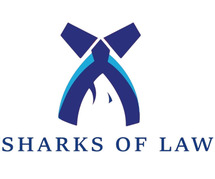 Consequences of Not Repaying Loans By Sharks Of Law