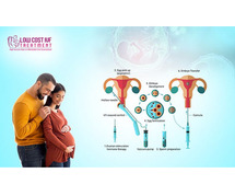 Affordable IVF Centre in Bangalore - Low Cost IVF Treatment