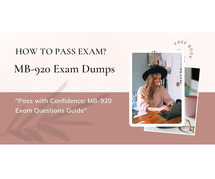 "Achieve Excellence: MB-920 Exam Questions Guide"