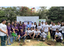 Growing Green: Aahwahan Foundation's Tree Plantation Initiative