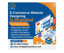Top E-Commerce Website Designing in Ghaziabad