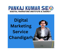 Digital Marketing Service Chandigarh