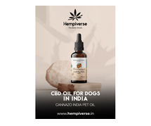CBD Oil for Dogs in India  - Hempiverse