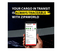 Stay updated with your cargo’s status with Container tracking