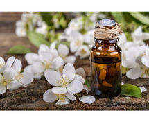 Uses And Benefits Of Six Flower Oil In Beauty And Personal Care Routines