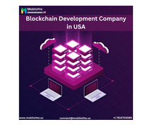Blockchain Development Company  in USA