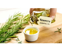 Best Brands Rosemary Essential Oils For Prevent Hair Fall And Hair Regrowth
