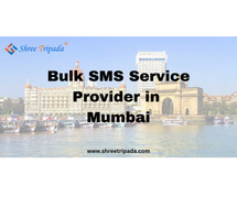 Best Bulk SMS Service Provider in Mumbai | Try Free SMS Now