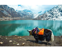 20+ Best Sikkim Tour Packages: Upto 25% Off