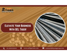 Elevate Your Business With SEL Tiger!