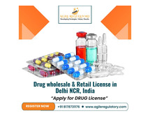 Drug wholesale & Retail License in Delhi NCR, India