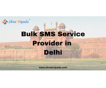 Bulk SMS Service Provider in Delhi | Try Free SMS Now