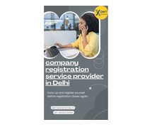 Company registration service provider in Delhi