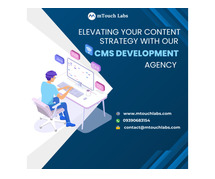 Custom CMS Development Services in Hyderabad