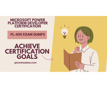 PL-400 Exam: Study Tips for Visual Learners