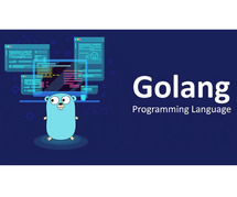 Golang Professional Certification & Training From India