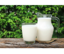 Exclusive Offers: Order A2 Gir Cow Milk from Aumilk for the Best Deals Today!