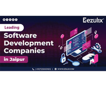 Software Development Services in India