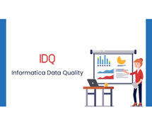 Informatica Data Quality Online Coaching Classes In India, Hyderabad