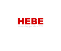 Unlocking Financial Success: The HEBE Approach"