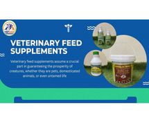 Animal Healthcare Products: Animal Feed Supplements And Veterinary Medicines