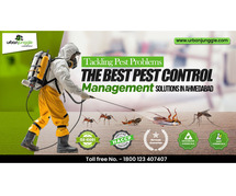 The Best Pest Control Management Solutions in Ahmedabad