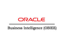 OBIEE Online Training by real-time Trainer in India