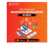 Hire Dedicated Magento Developers in India