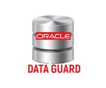 Best Oracle Data Guard Online Training Institute in Hyderabad