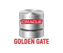 Best Oracle Golden Gate Online Training & Real Time Support From India, Hyderabad