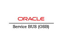 OSB 11g/12c Online Coaching Classes In India, Hyderabad