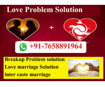 Online Love Marriage Astrology +91-7658891964