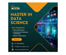 Explore the Best Online Master's in Data Science Course by Learning Saint
