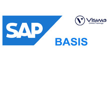 Sap BASIS Course Online Training Classes from India