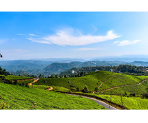 Looking For A Perfect Summer Escape? Plan A Munnar Tour!