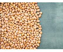 Peanut Exporter and Supplier India - Dhanraj Enterprise