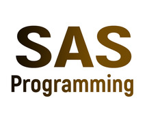 Best SAS Programming Online Training Institute in Hyderabad
