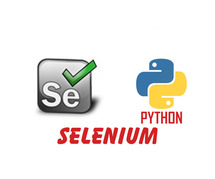 Selenium with Python Professional Certification & Training From India