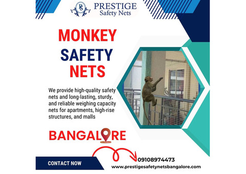 Monkey Safety Nets in Bangalore: The Ultimate Solution for Monkey Menace